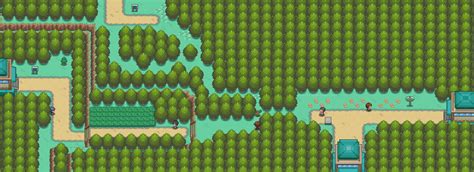 Johto Route 36 .